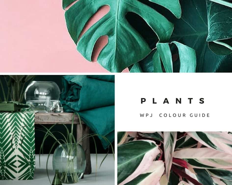 decorating with green plants